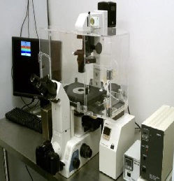 Centre for Biophotonics