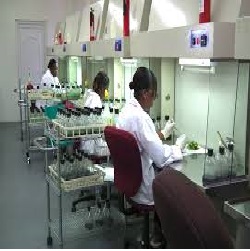 Tissue Culture