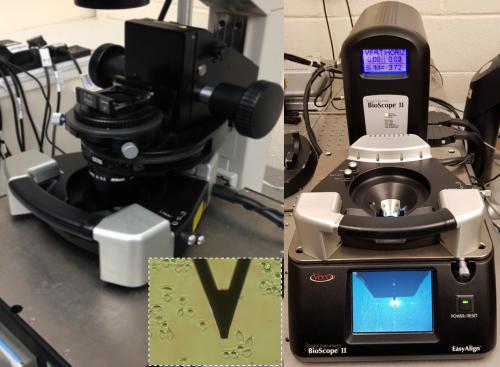 ULab: Equipment