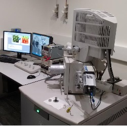 Field-emission environmental scanning electron microscope